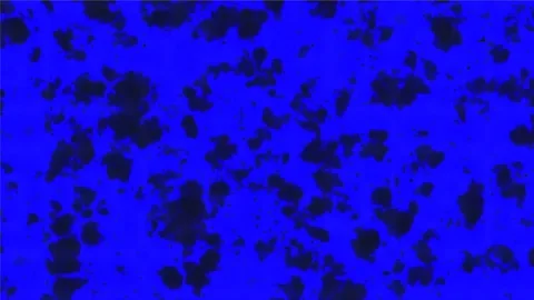 Background Light Motion Design Video Modern Abstract Pattern Animation Texture Stock Footage 282770630