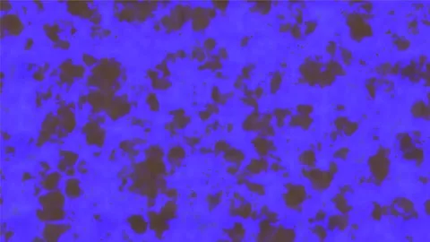 Background Light Motion Design Video Modern Abstract Pattern Animation Texture Stock Footage 282775271