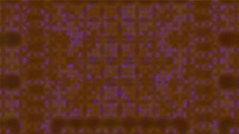 Background Light Motion Design Video Modern Abstract Pattern Animation Texture Stock Footage 282777353