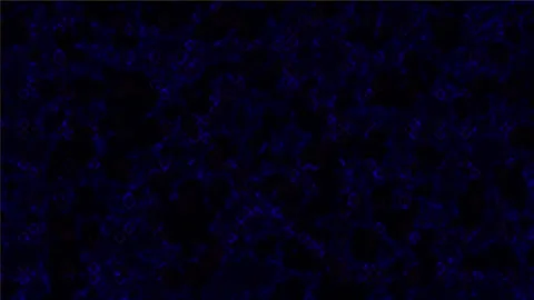 Background Light Motion Design Video Modern Abstract Pattern Animation Texture Stock-Footage 282783082