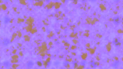 Background Light Motion Design Video Modern Abstract Pattern Animation Texture Stock-Footage 282791973