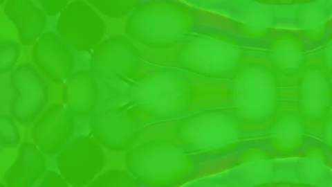 Background Light Motion Design Video Modern Abstract Pattern Animation Texture 스톡 동영상 282907020