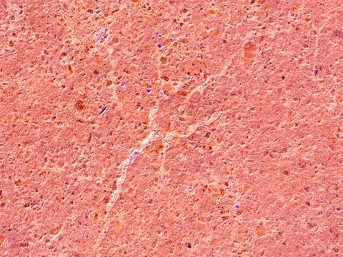 Background light pink surface stone texture close-up Stock Photos