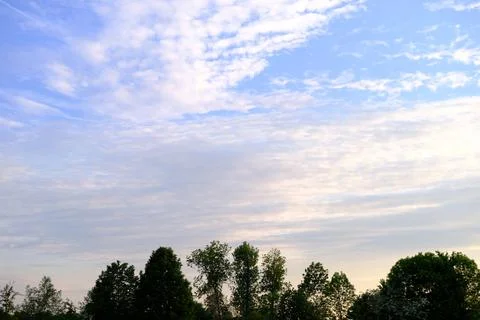 Background light sky gradient, close-up of beautiful white fluffy clouds in b Stockfoto's