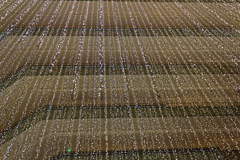 Background Light Strands Stock Photos