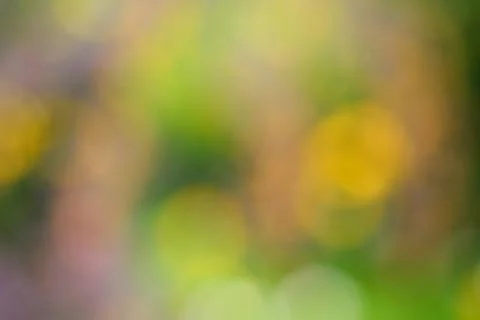 Background: lights, bokeh Stock Photos