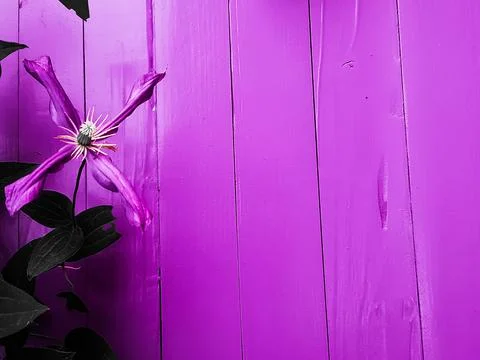 The background is lilac. the concept of 2022. Stock Photos