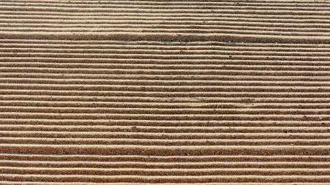 Background with lines in the sand beacause cleaning Stock Photos