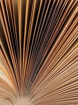 Background from lines of sheets of paper Stock Photos