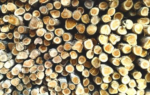 Background of logging pattern with different size Stock Photos