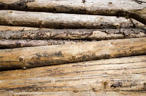 Background of logs for firewood Stock Photos