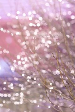 Background loop Purple particles Stock Photos