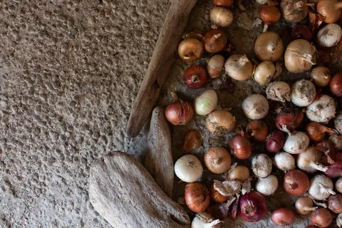 A background with lots of onions separated by Stock Photos