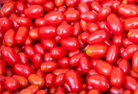Background of lots of organic red grape tomatoes Stock Photos