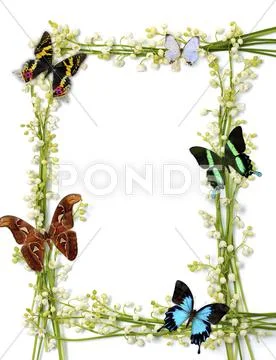 Background love frame summer pattern beautiful Stock Illustration