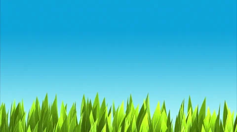 Background with lush green grass and blue sky. Stock Footage 32899500