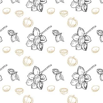 Background of Macadamia black and gold branch and nuts Stock Illustration