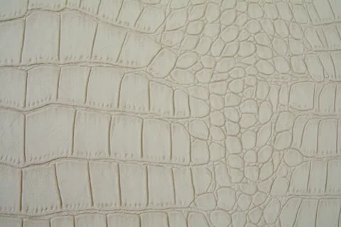 Background made of artificial beige crocodile skin. Stock Photos