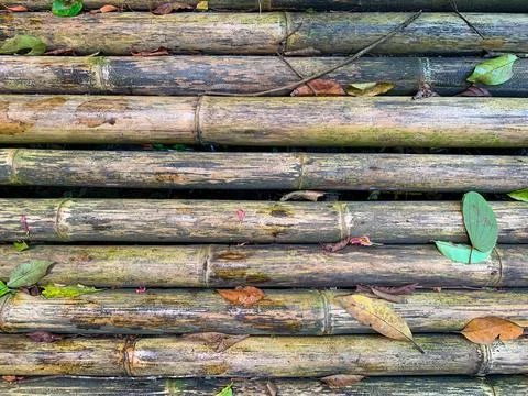 The background is made of bamboo which is arranged into a bridge Stock Photos
