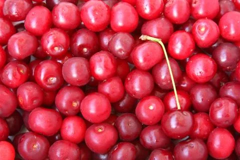 Background made from cherry Stock Photos