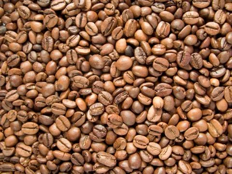 Background made of coffee beans 스톡 사진