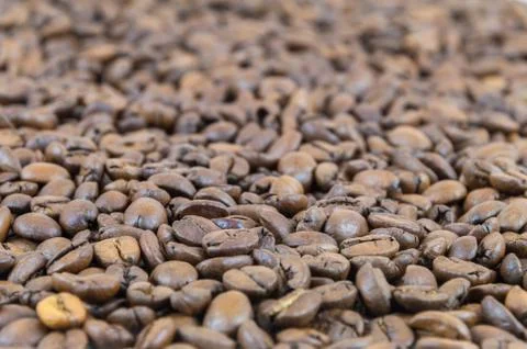 Background made of coffee beans Stock Photos