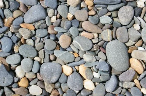 Background made of colored pebbles. Fragment of a stony sunny beach. Stock Photos