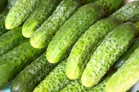 Background made from cucumbers Stock Photos