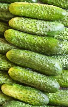 Background made from cucumbers Stock Photos