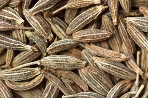 Background made of cumin seeds Stock Photos