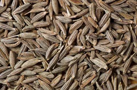 Background made of cumin seeds Stock Photos