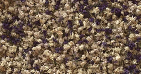 Background made of dried lilac flowers. Stock Footage 277993440