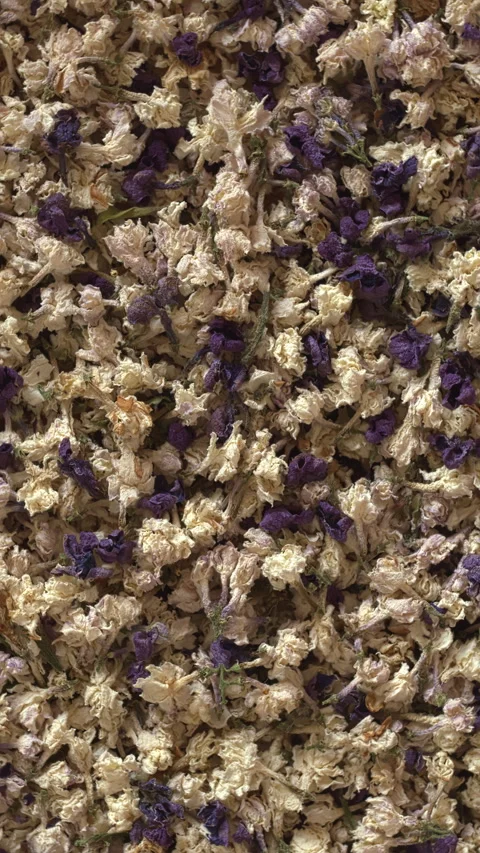 Background made of dried lilac flowers. Vertical video. Stock Footage 277993450