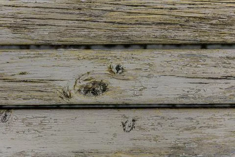 The background is made of old aged rough wooden boards, painted gray in close Stock Photos