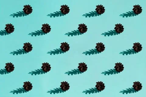 Background made from pinecone on the blue background Stock Photos