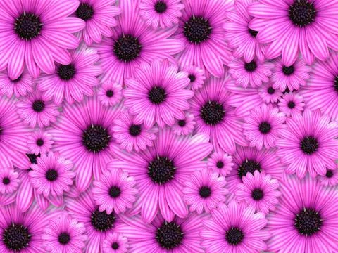 Background made from pink flowers Stock Illustration