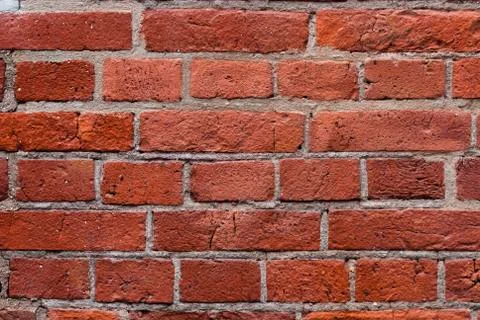 The background is made of red brick wall. Foto stock
