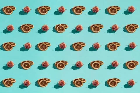 Background made from rose on the blue background Stock Photos