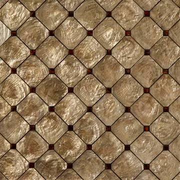 Background made of shells Stock Photos