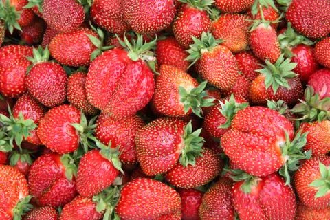 Background made from strawberries Stock Photos