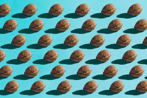 Background made from walnuts on the blue background Stock Photos