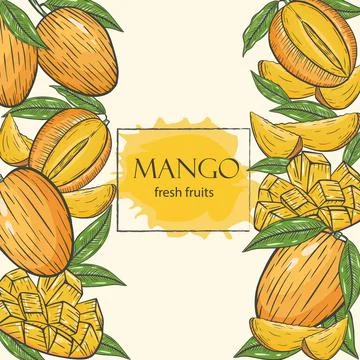 Background with mango, vector illustration. Whole mango, slices, leaves. 스톡 일러스트