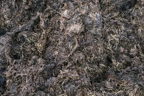 Background Of Manure Stock-Fotos