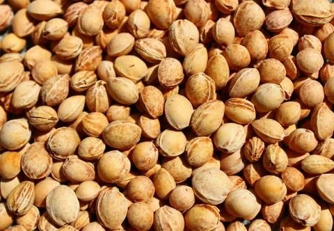 A background with many cherry stones Stock Photos