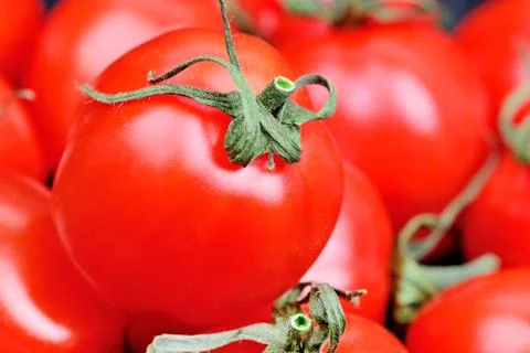 Background of many cherry tomatoes Foto stock