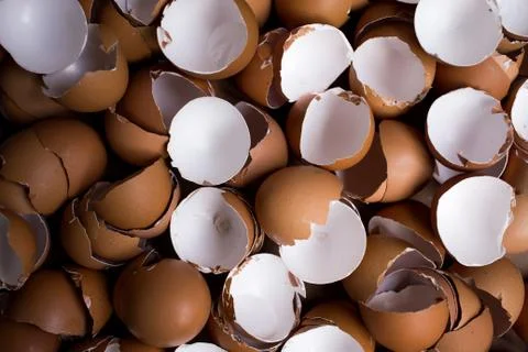 Background of many Eggshells on the wooden table Stock Photos