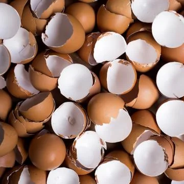 Background of many Eggshells on the wooden table Stock Photos