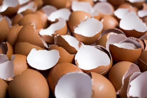 Background of many Eggshells on the wooden table Stock Photos