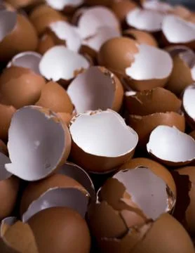 Background of many Eggshells on the wooden table Stock Photos