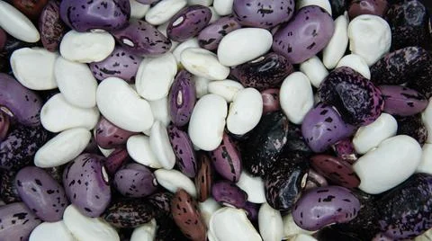 Background of many grains of beans, texture of legumes, for background Stock Photos